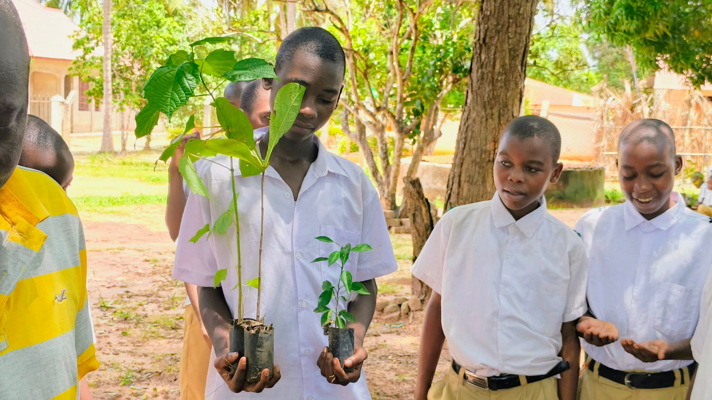 Eskolta perityt puut – suomalaisen nikkaroitsijan perintö kasvaa Tansaniassa