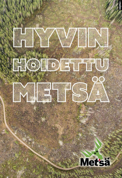 hyvin-hoidettu-metsa-vastis-1