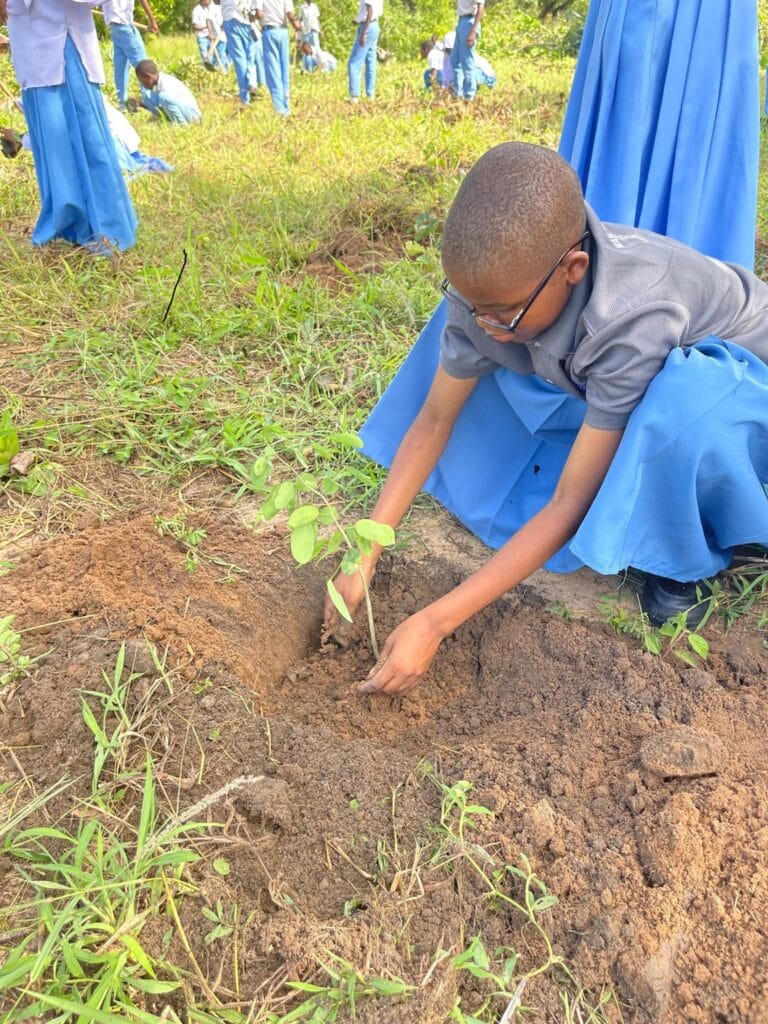 oppilas istuttaa puita Mangamba Tansania