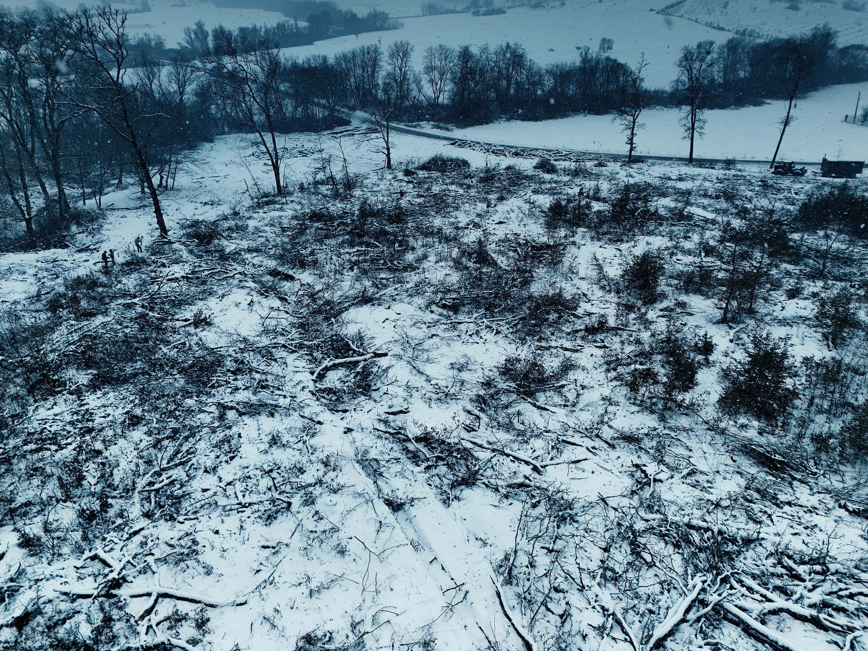 Ikea ostaa puuta Romanian suojelluista metsistä – retki ikimetsään osoittaa EU:n metsäpolitiikan onttouden