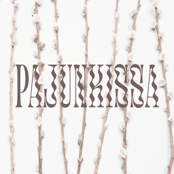 3. Päästöt ovat tuplaantuneet pajunkissa-1080x1080-tumma-1