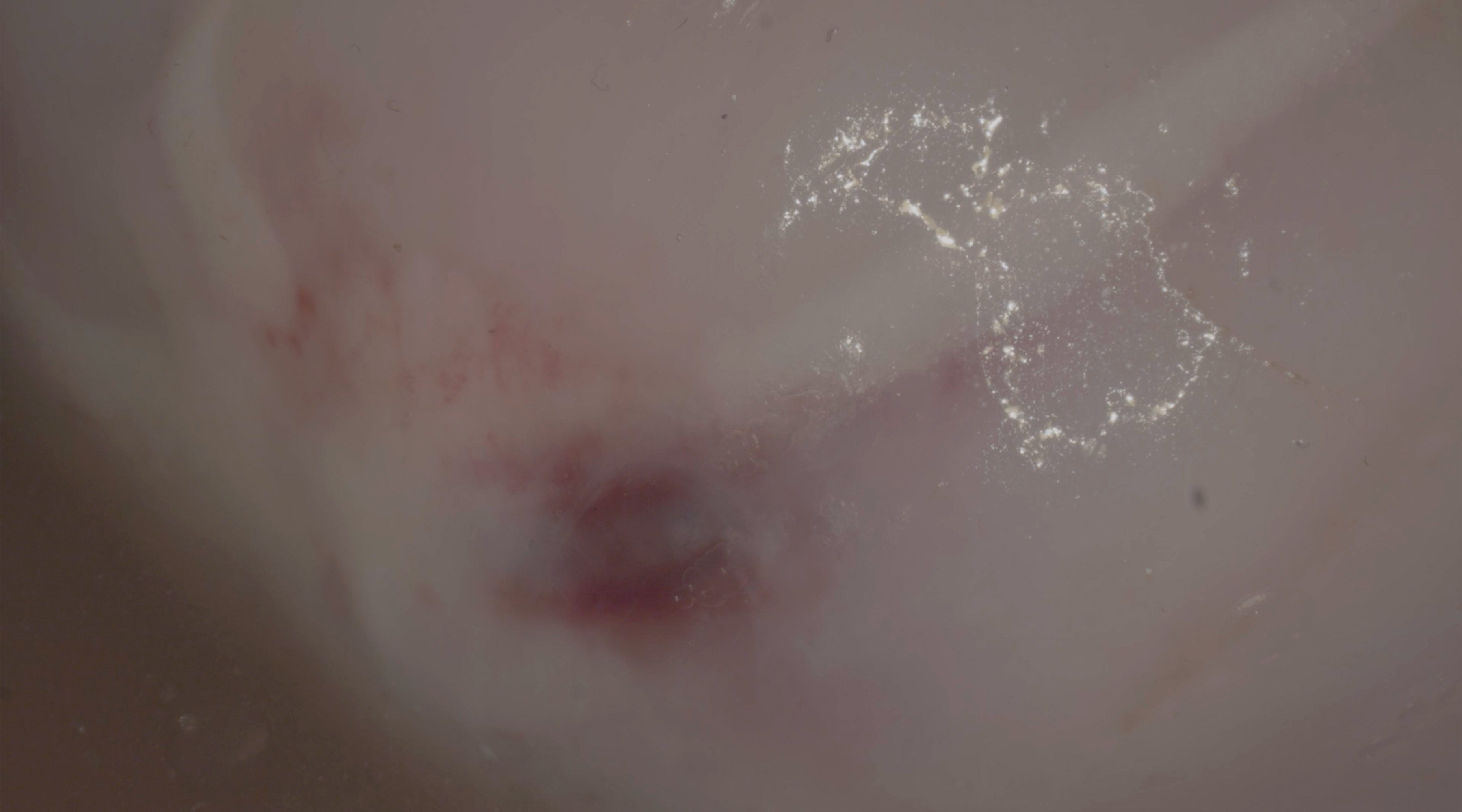 Mediabox: Maria Koskivirta: The Universe Is a Machine (2025)