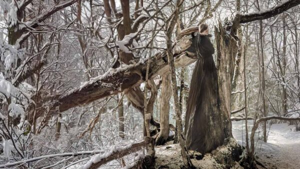 Entanglement: I am a tree, I am a mouth